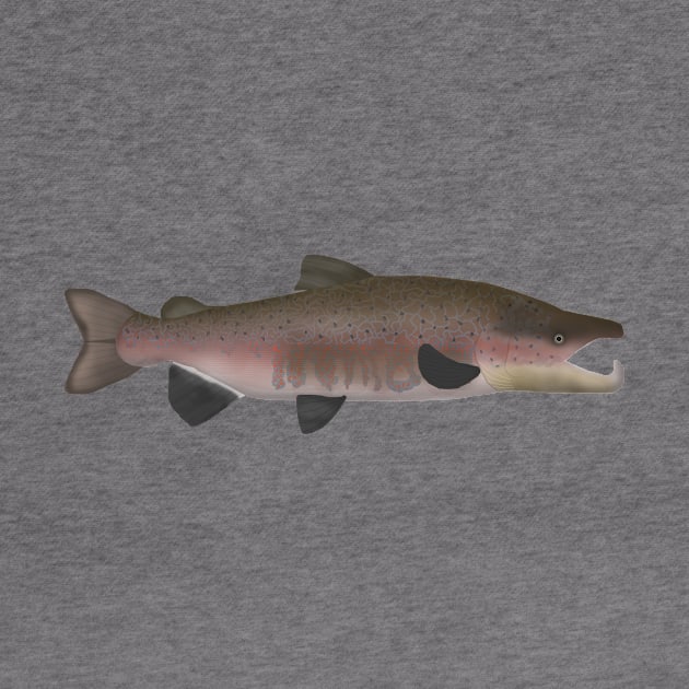 Atlantic Salmon -  Spawn Phase by FishFolkArt